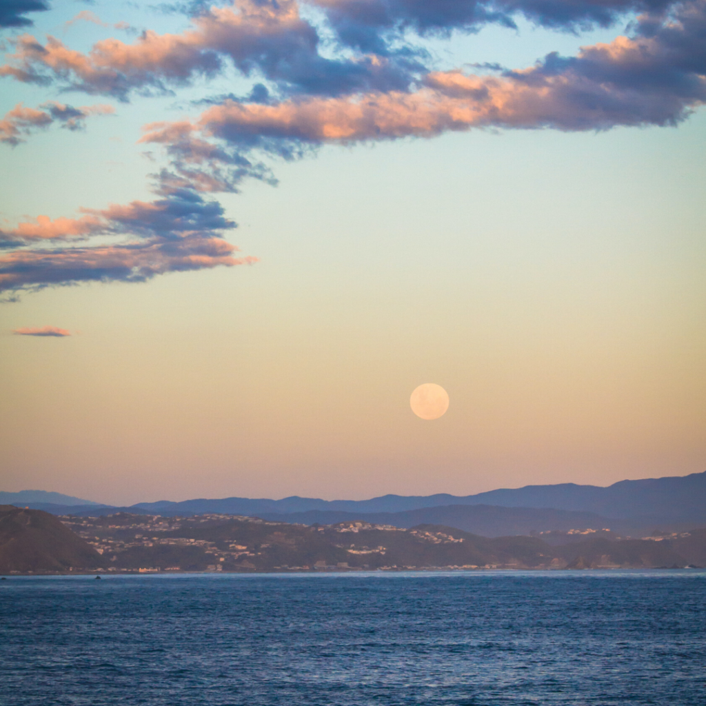 Full moon over Wellington at sunset