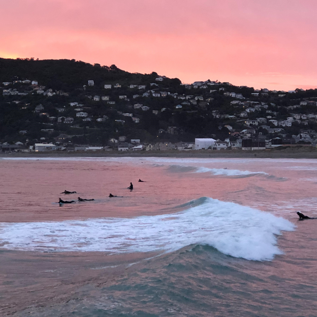 Surfing at Lyall Bay at sunset with a pink sky