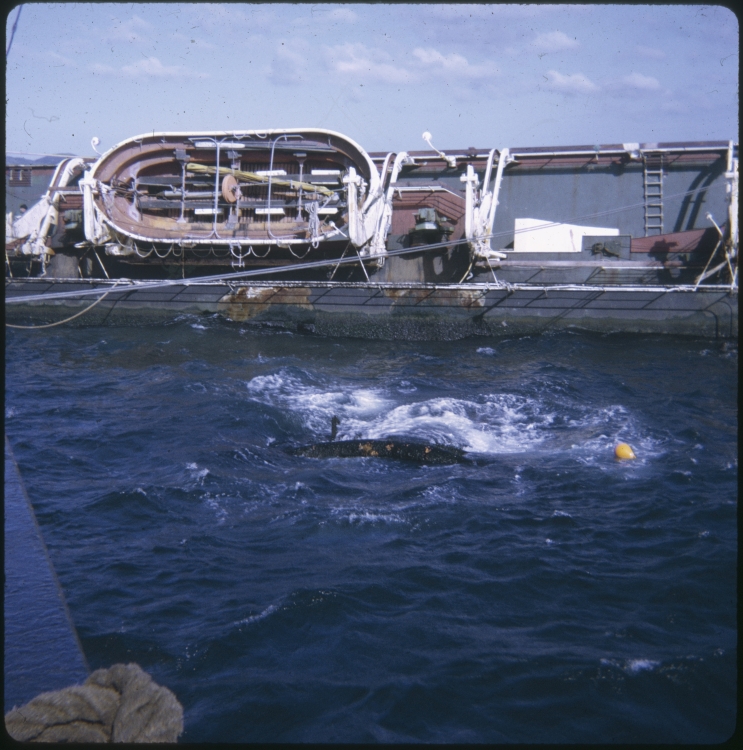 The TEV Wahine wreck with a lifeboat aboard