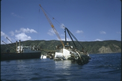 Salvage ship Holmpark and the TEV Wahine
