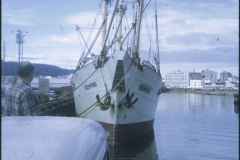 The salvage ship Holmpark berthed at Queens Wharf, Wellington